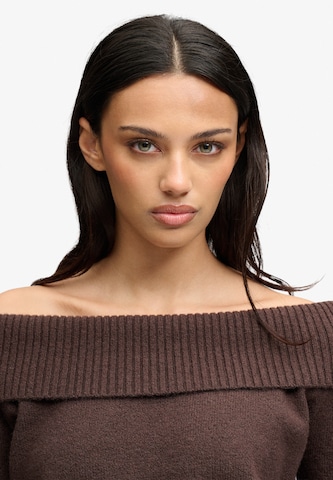 Superdry & Co Sweater in Brown