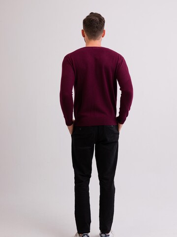 Pullover di CASH-MERE.CH in rosso