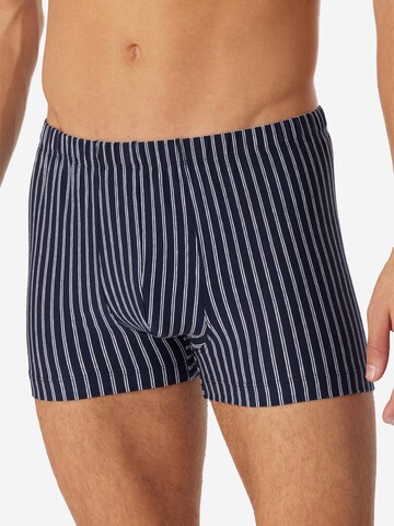 SCHIESSER Boxer shorts '95/5 Essentials Organic Cotton' in Blue