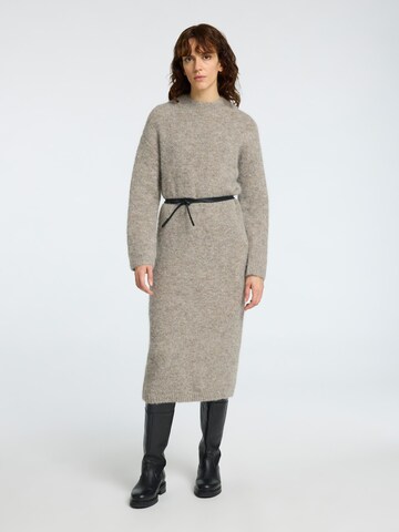 SELECTED FEMME Gebreide jurk in Bruin: voorkant