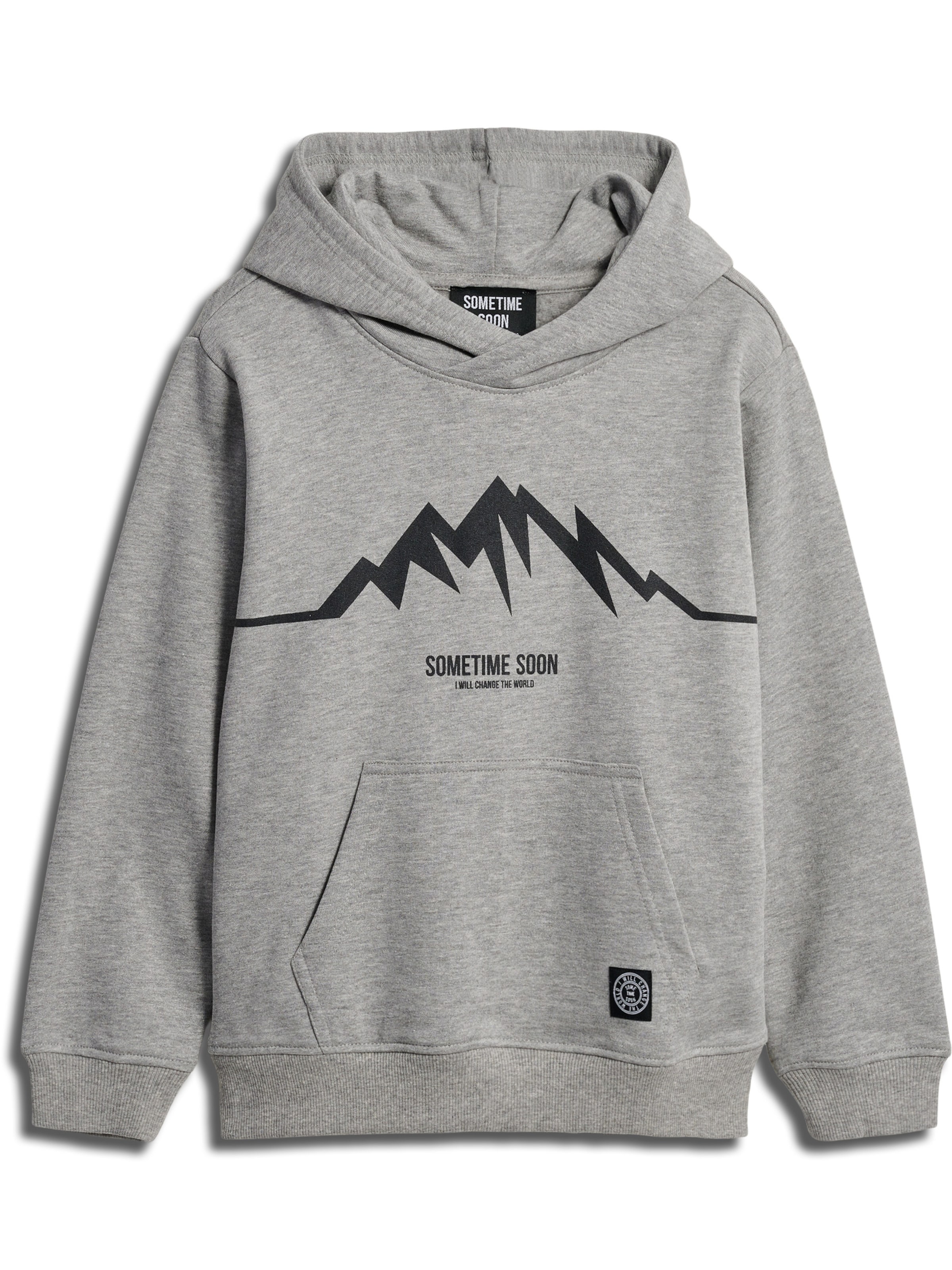 SOMETIME SOON Sweatshirt i grå: forside