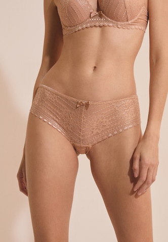 ETAM Regular Panty 'Panama' in Bronze