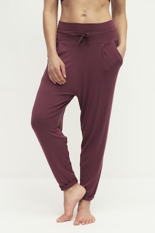 Kismet Yogastyle Tapered Sporthose 'Ruby' in Lila: predná strana