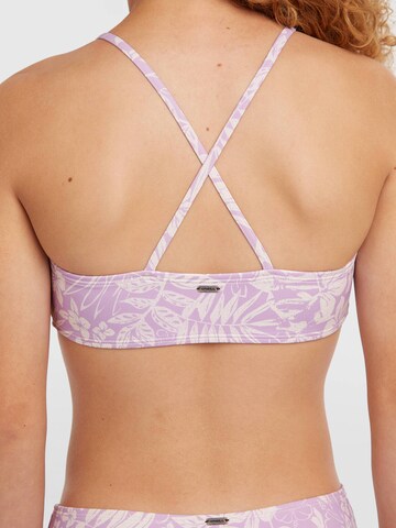 O'NEILL Bralette Bikini 'Essentials' in Purple