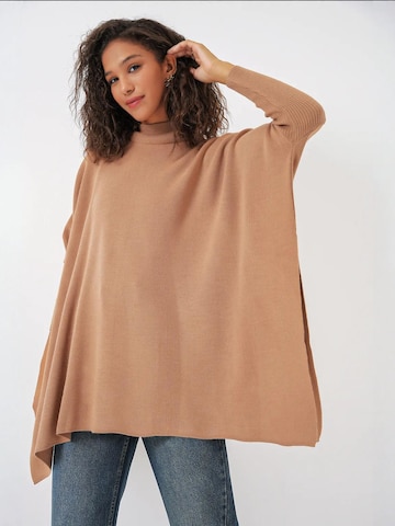 Bigdart Trui in Bruin