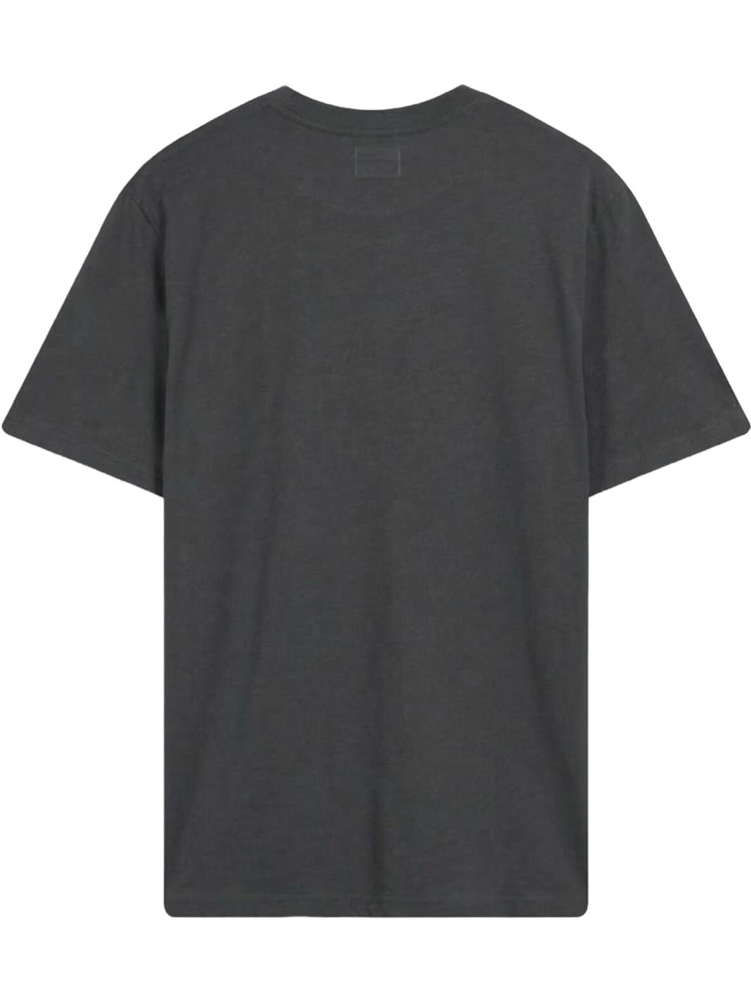 T-Shirt 'Slogan T-Shirt' LTB Jeans en gris : devant