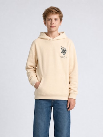 Petrol Industries Sweatshirt in Beige: Vorderseite