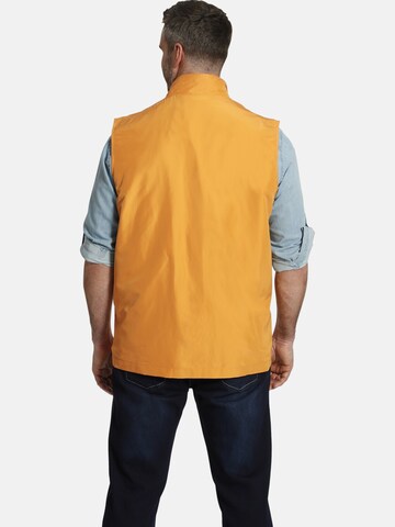 Charles Colby Vest 'Sir Bayan' in Yellow