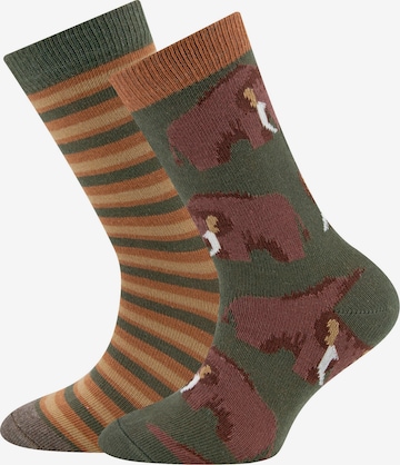 EWERS Socks in Brown: front