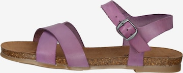 COSMOS COMFORT Sandals in Purple