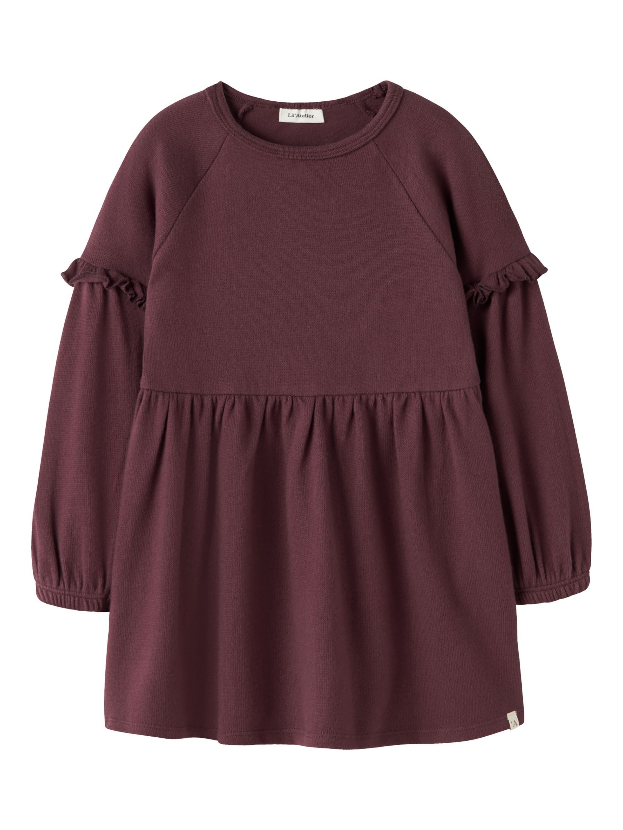 Lil'Atelier Dress 'NMFThora' in Purple: front