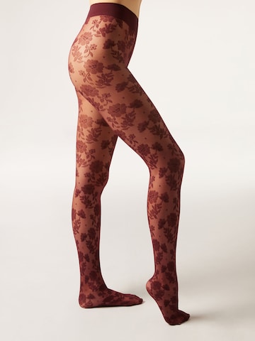 CALZEDONIA Tights in Red