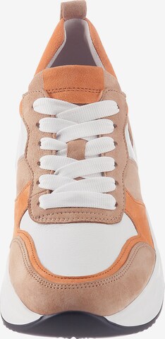 GABOR Sneakers laag in Gemengde kleuren