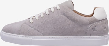 JOOP! Sneakers 'Velo Stampa Cody' in Grey: front