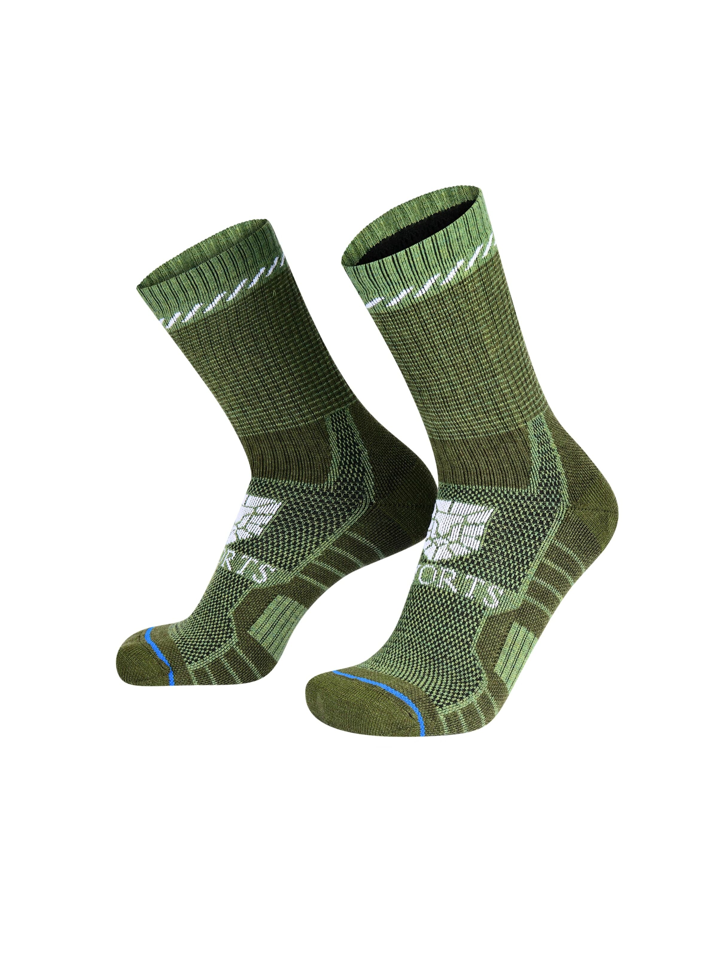 SWORTS Athletic Socks 'Thermo Merino Socks' in Green: front