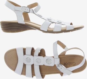GABOR Sandals & High-Heeled Sandals in 43 in White: front