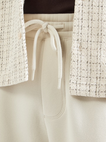 Baggy Pantaloni di HOLLISTER in grigio