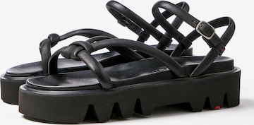 Sandales à lanières LLOYD en noir