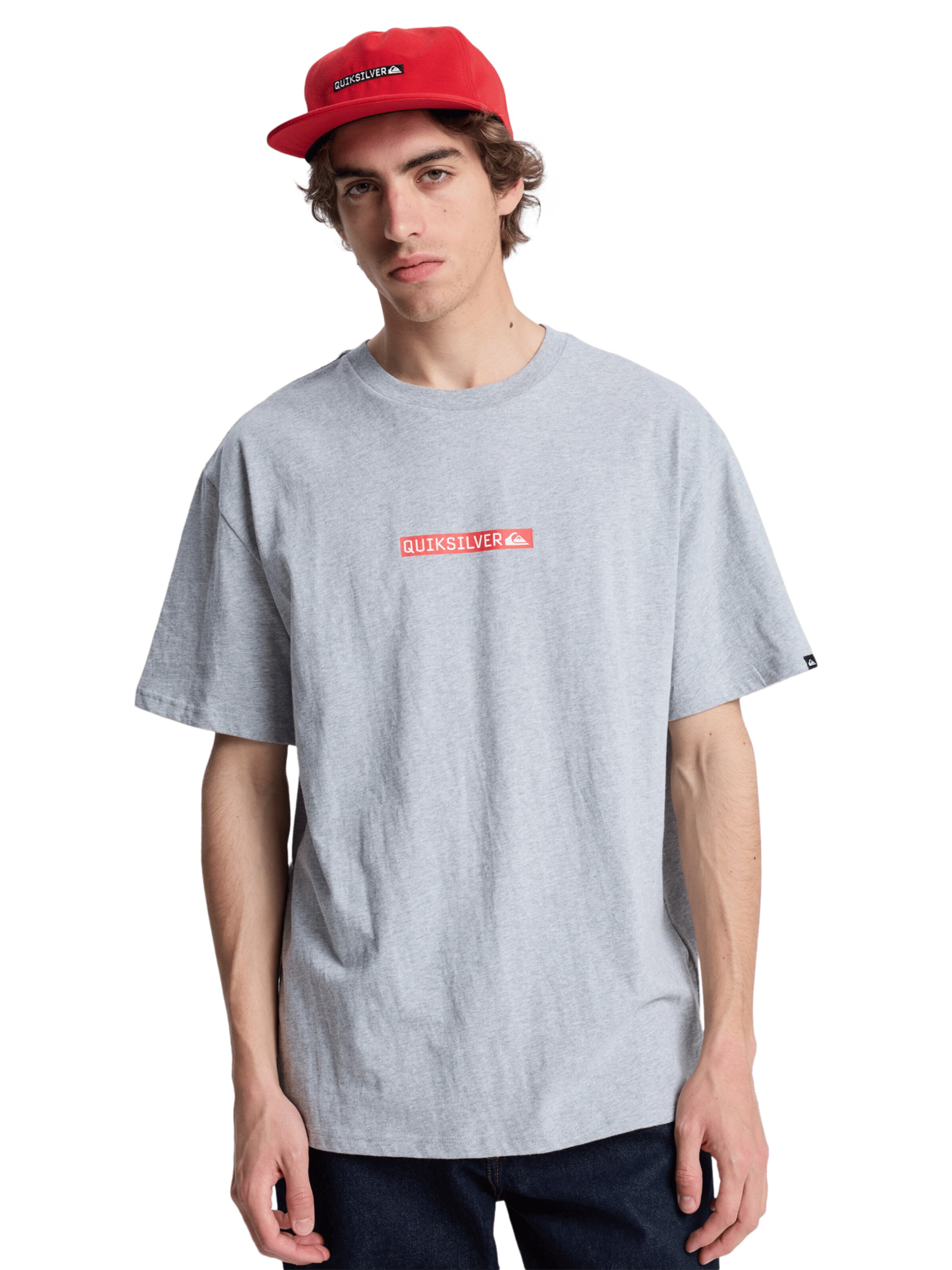 QUIKSILVER Shirt 'Dna Clicker' in Grey: front
