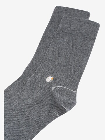 Sokid Socks in Grey
