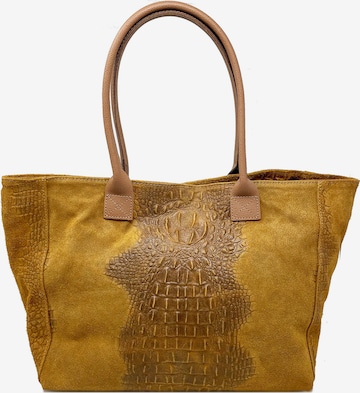 CHICCA BORSE Shopper in Brown: front