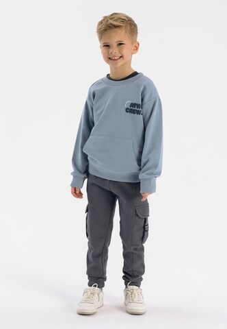 Regular Pantalon de sport MINOTI en gris
