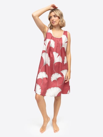 Cyberjammies Nachthemd 'Joise' in Rot: Vorderseite