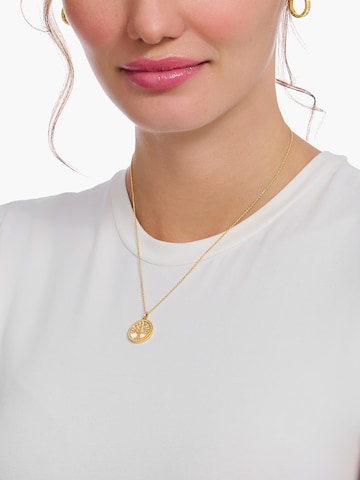 Thomas Sabo Kette in Gold