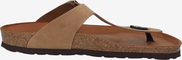 ROHDE T-Bar Sandals '5642' in Brown