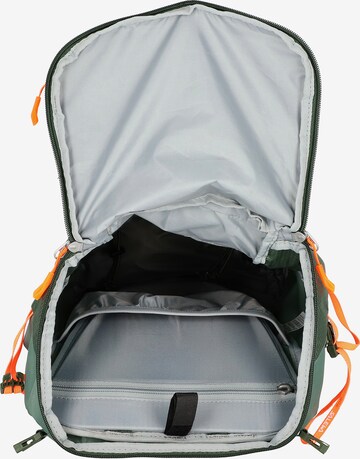 SALEWA Sports Backpack in Green