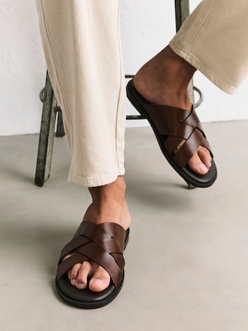 Next Muiltjes in Bruin