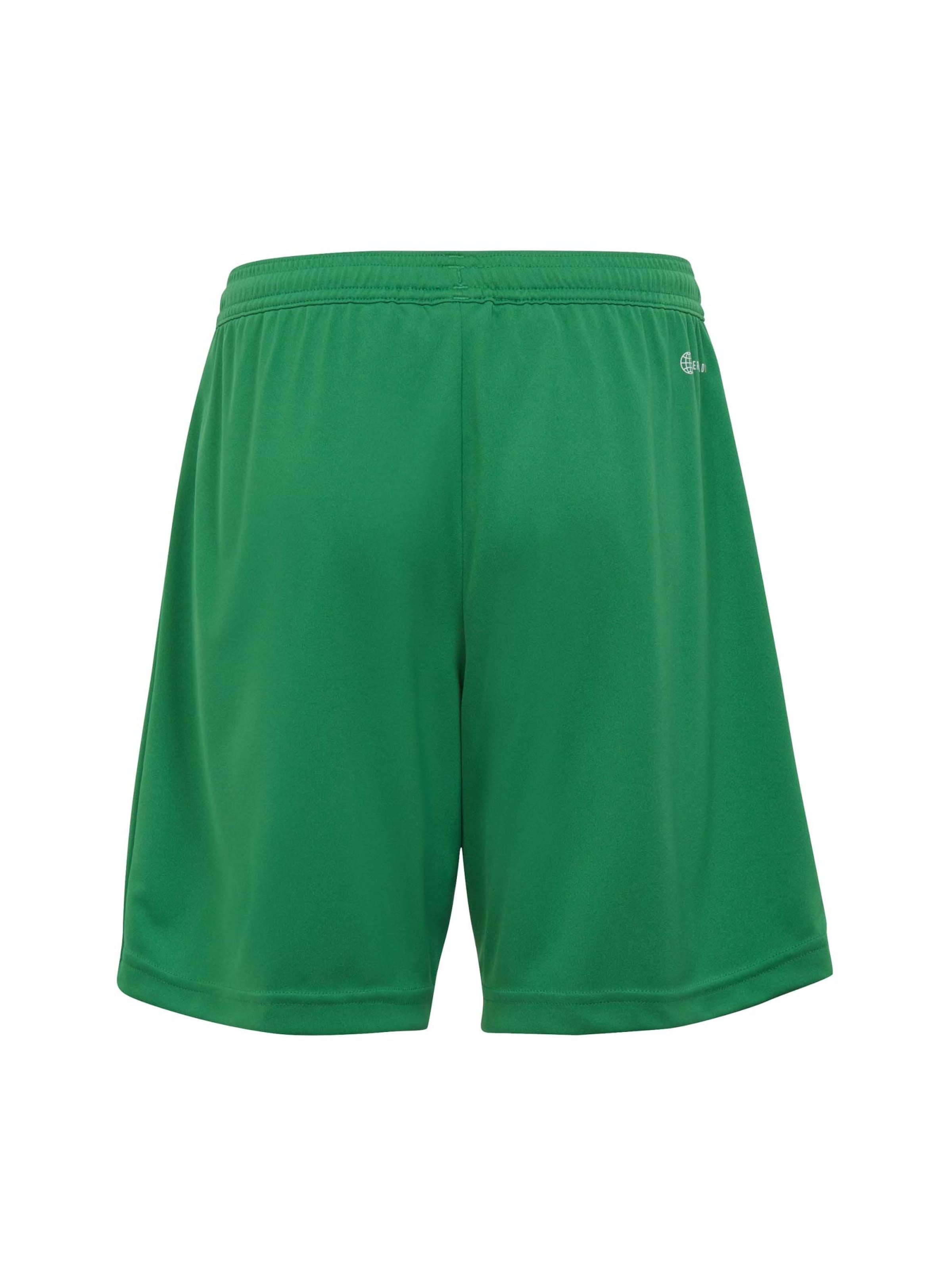 ADIDAS PERFORMANCE regular Παντελόνι φόρμας 'Entrada 22' σε πράσινο