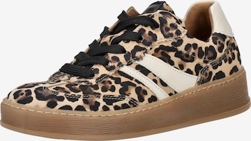 GABORNiske tenisice - smeđa boja: prednji dio