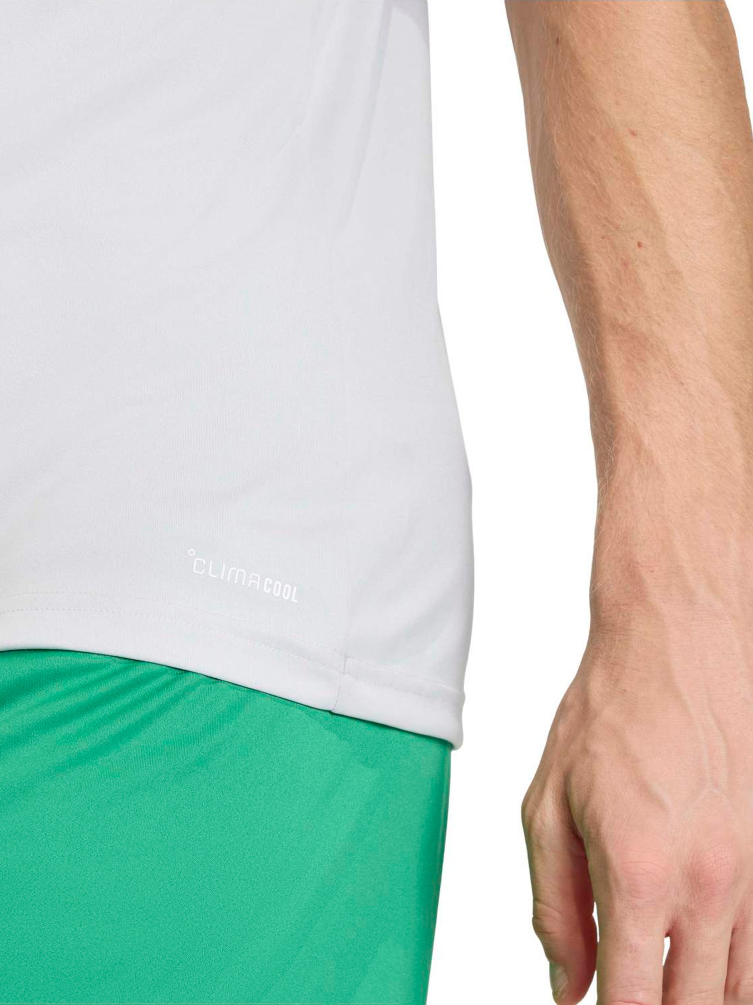 ADIDAS PERFORMANCE Funkcionalna majica 'ENT26' | siva barva