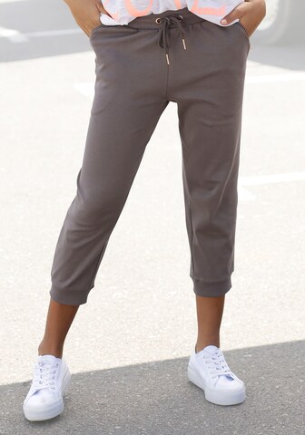BENCH Tapered Pants in Grey: front