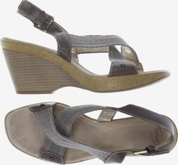 SCHOLL Sandals & High-Heeled Sandals in 41 in Grey: front