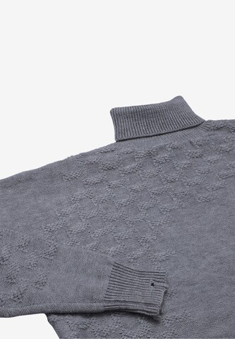 FENIA Sweater 'Fenia' in Grey