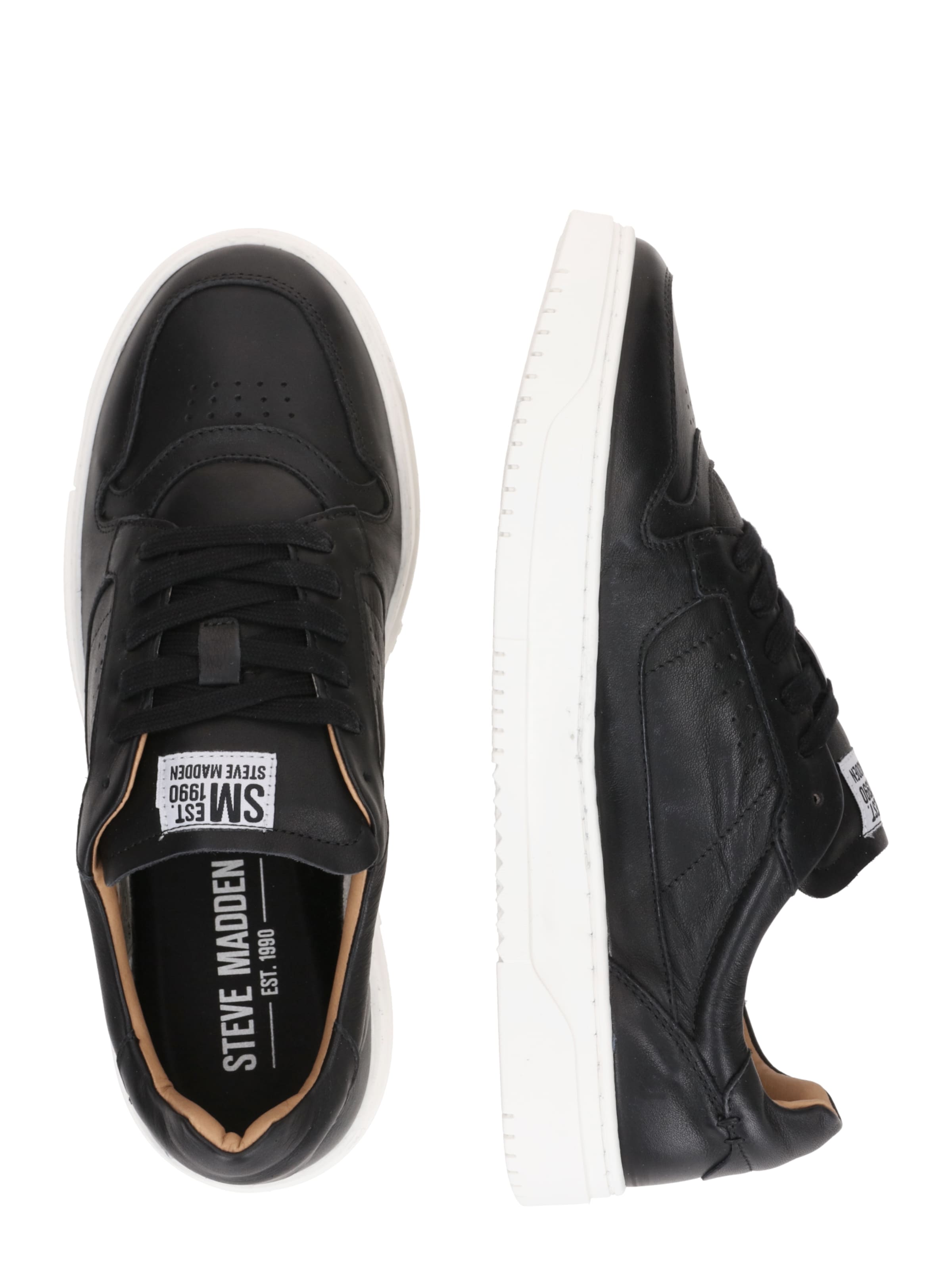 STEVE MADDEN Низкие кроссовки 'Cliff' в Черный