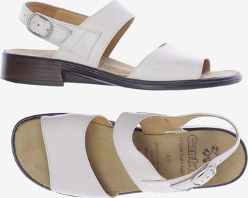 Ganter Sandals & High-Heeled Sandals in 37 in White: front