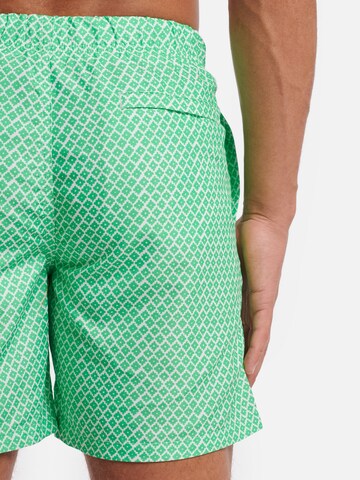 Regular Shorts de bain Shiwi en vert