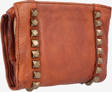 Campomaggi Wallet in Brown