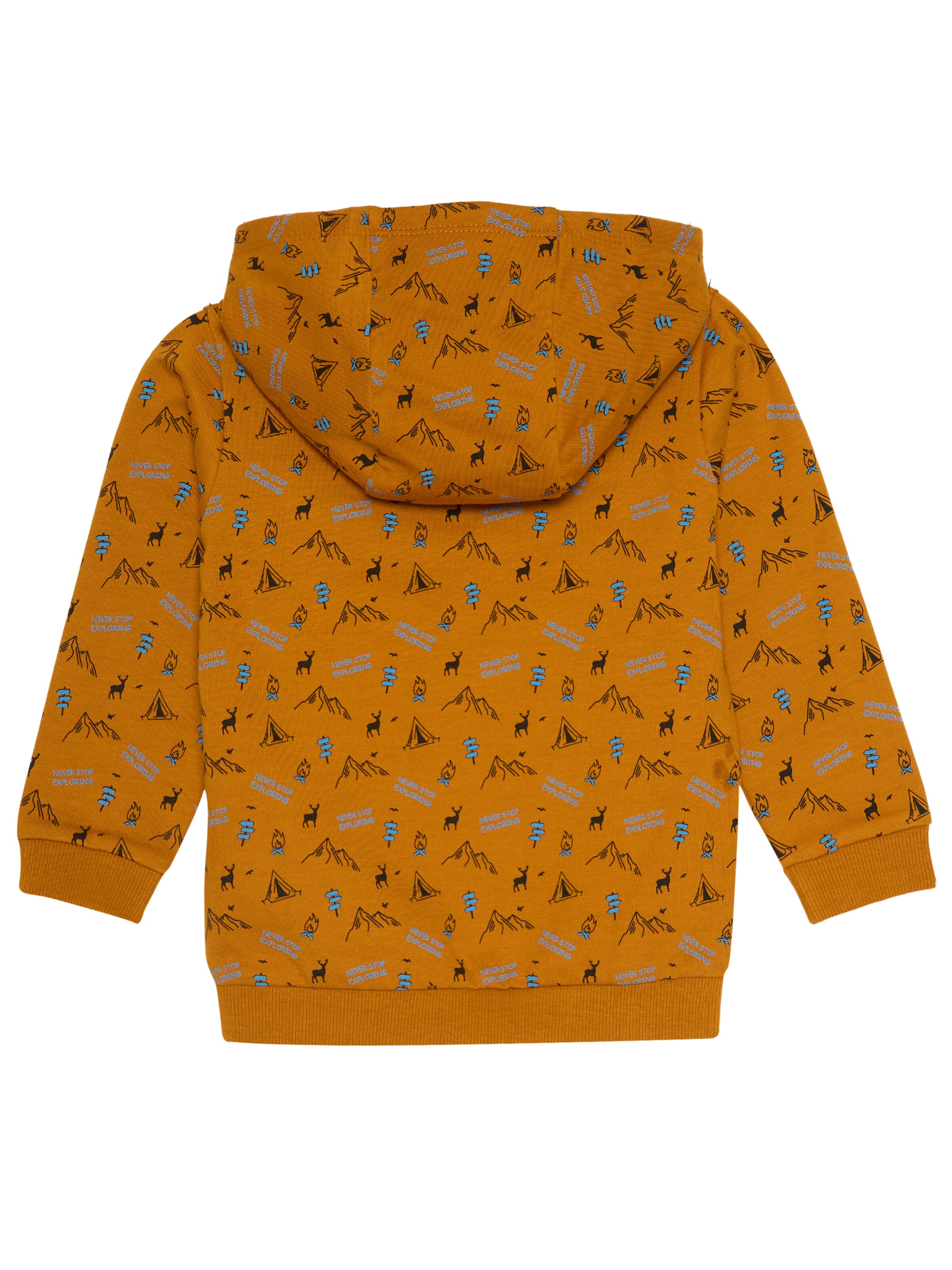 4PRESIDENT Pullover 'Boaz'‌‌‌‌‌‌‌‌ in Orange