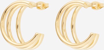 Singularu Earrings in Gold