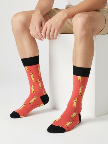 The Arctic Bay - Calcetines 'JANGWA EDITION Gift box 4 Pack Unisex' en Mezcla de colores