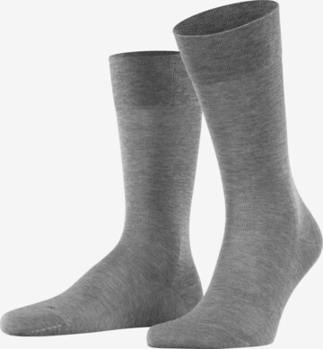 FALKE Socken 'Sensitive Malaga' in Grau: Vorderseite