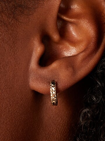 Boucles d'oreilles Lucardi en or : devant