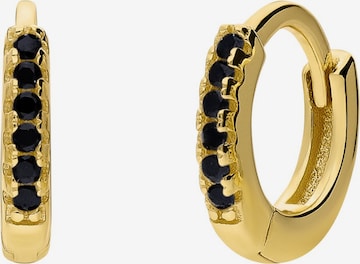 Lucardi Ohrringe in Gold: Vorderseite