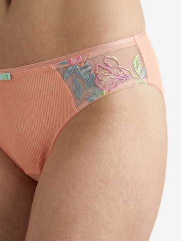 DACAPO Panty 'Capri' in Orange