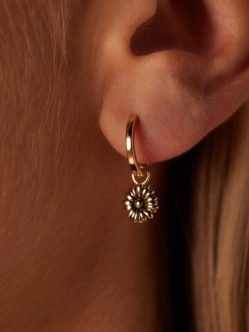 Boucles d'oreilles Lucardi en or : devant