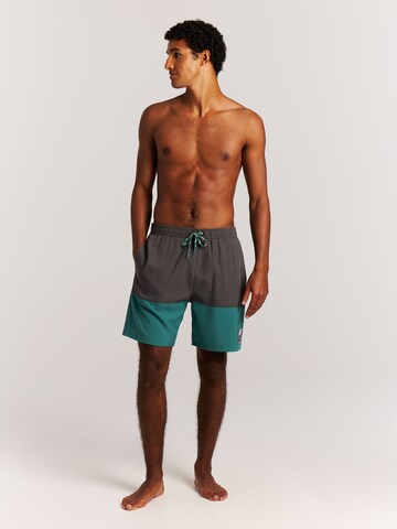 PROTEST Swimming shorts 'PRTCabus' in Green